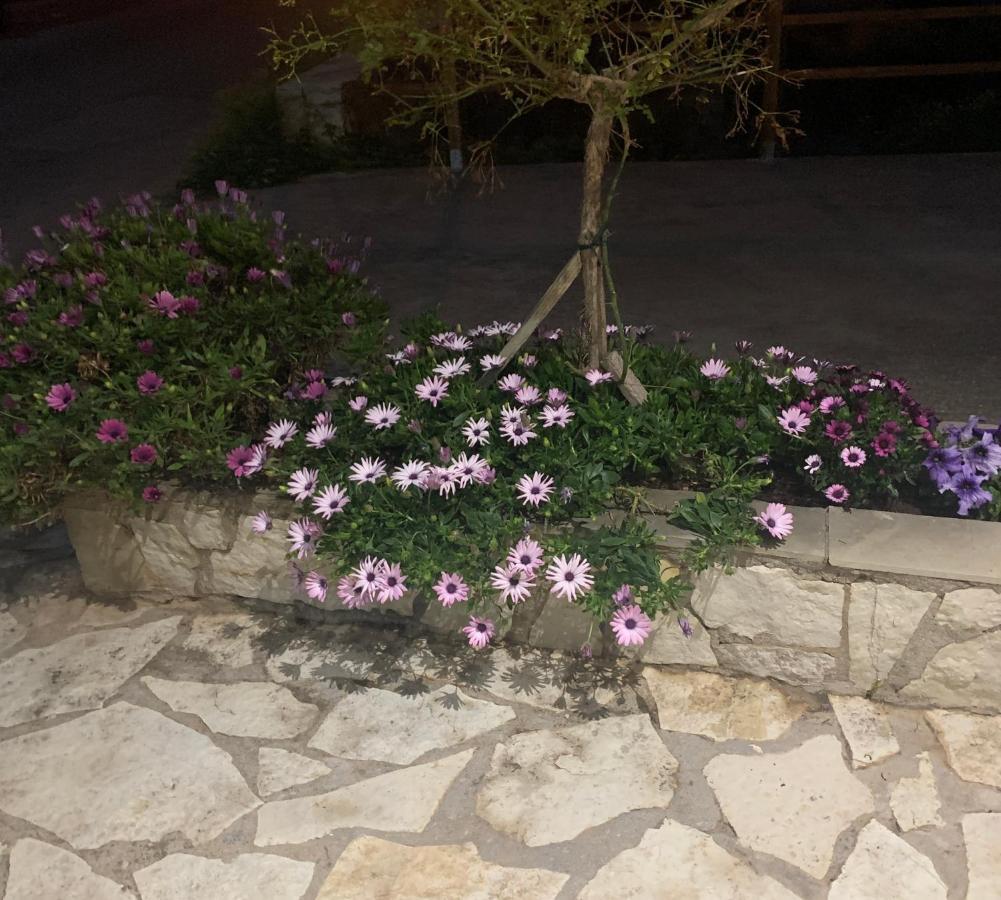 Zoe's Sea View Pylos